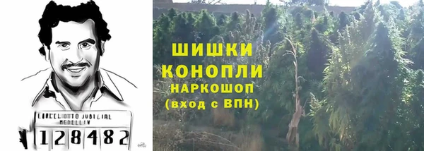 ПСИЛОЦИБИНОВЫЕ ГРИБЫ Аркадак