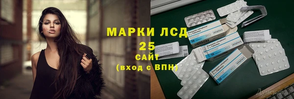 ПСИЛОЦИБИНОВЫЕ ГРИБЫ Аркадак