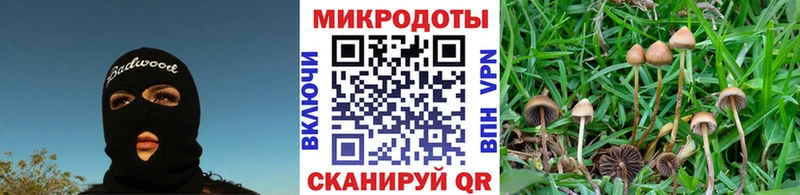 Псилоцибиновые грибы ЛСД  Светлоград 